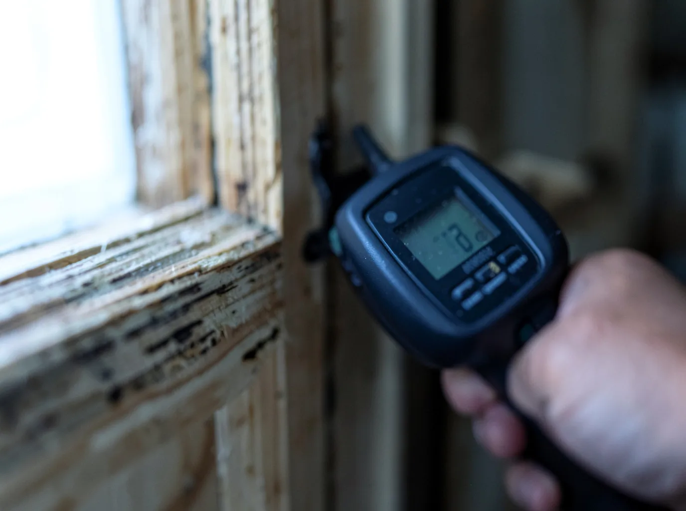 Moisture Inspection And Documentation in Duenweg, MO